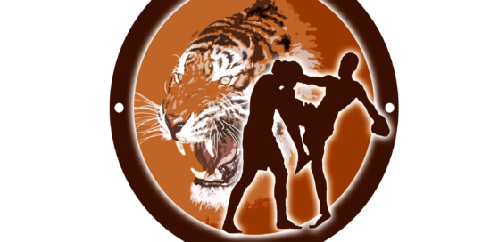 Build and grow an online business.